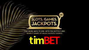 Bônus Generosos e Exclusivos no timbet para Você!