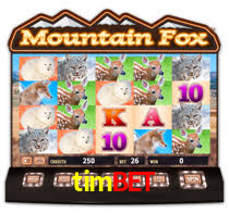 timbet login