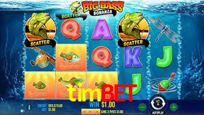 timbet,timbet.com