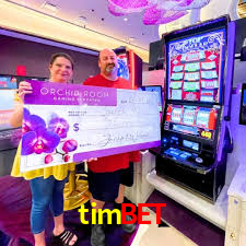 Programa VIP timbet