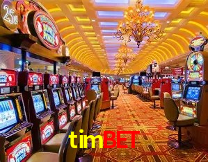 Segurança e performance na plataforma timbet