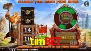 Programa VIP timbet