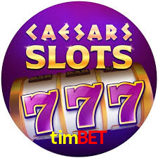 timbet,timbet.com