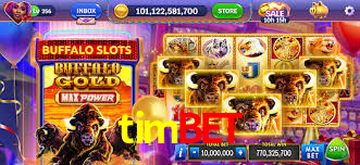 Football Betting timbet